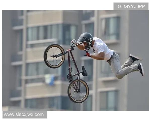 北京极限运动队力量表现的全面数据分析与趋势探讨